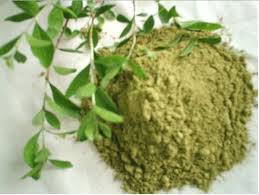 Natural Mehandi Powder Manufacturer Supplier Wholesale Exporter Importer Buyer Trader Retailer in Sojat Rajasthan India